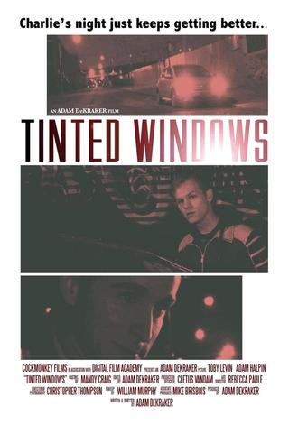 Tinted Windows poster