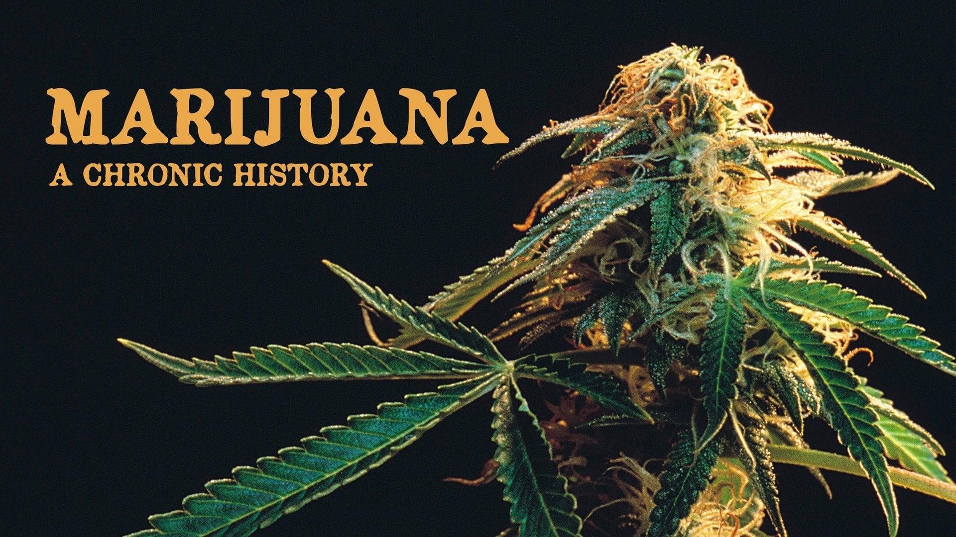 Marijuana: A Chronic History backdrop