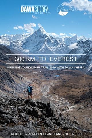 300 KM TO EVEREST poster