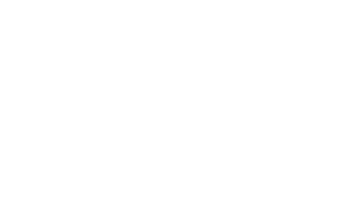 Never Been Chris'd logo