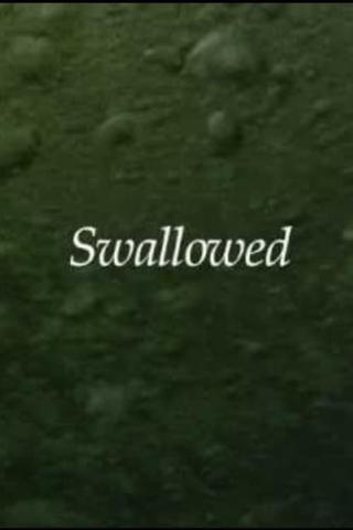 Swallowed poster