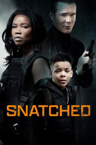 Snatched poster