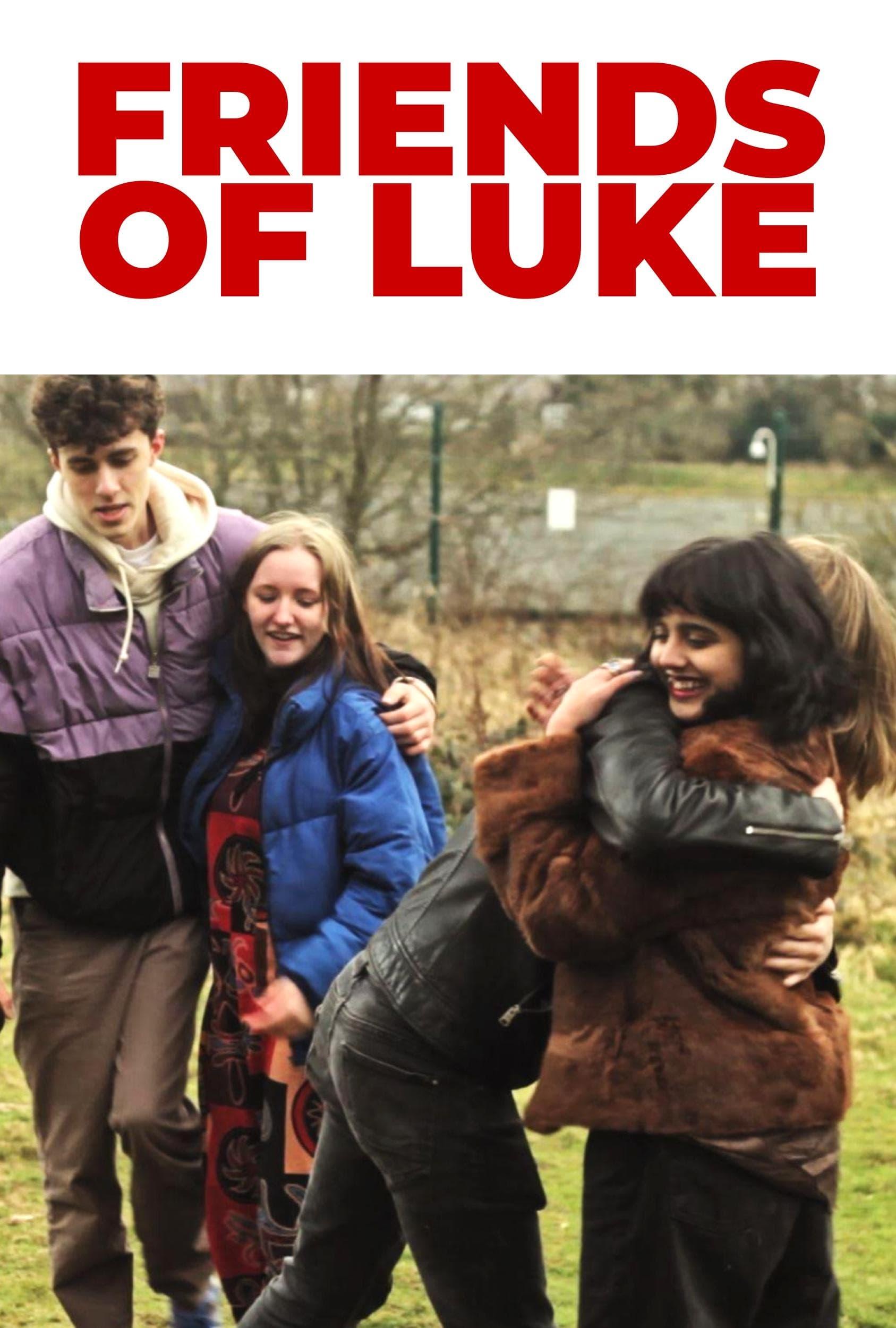 Friends of Luke poster