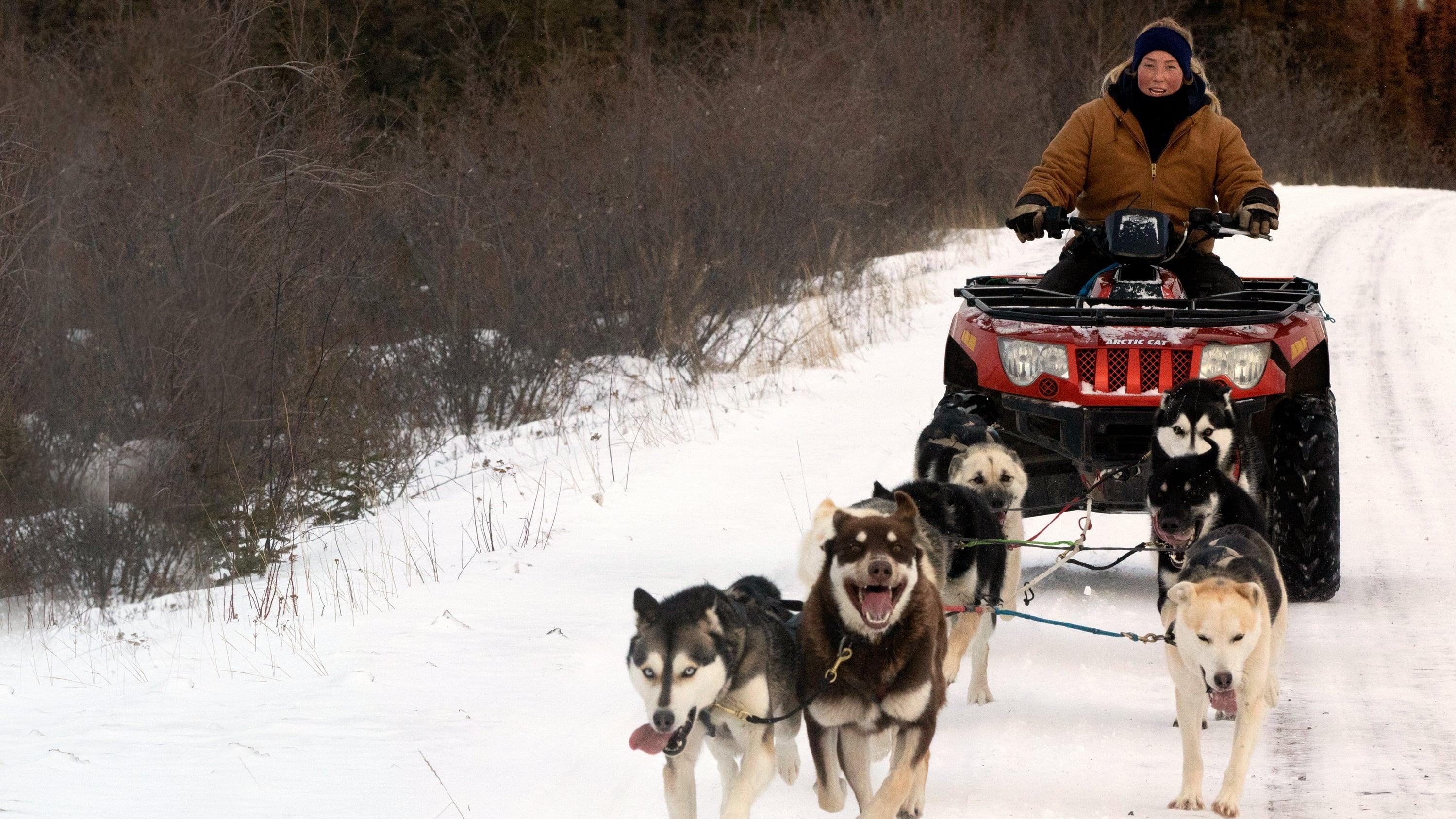 Life Below Zero: Northern Territories backdrop