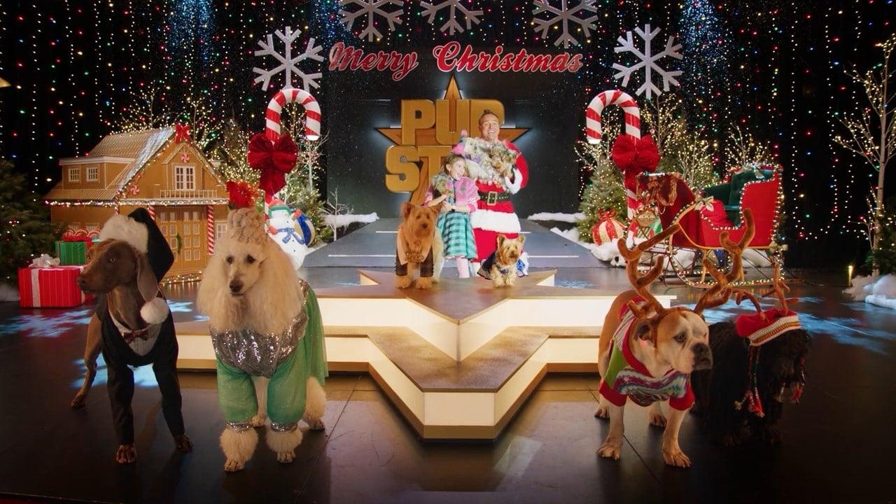 Puppy Star Christmas backdrop