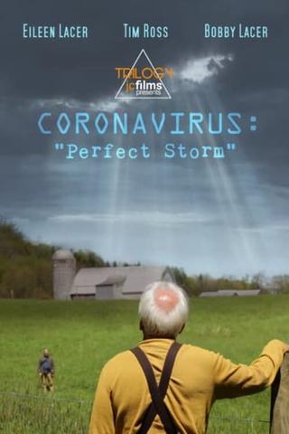 Coronavirus: Perfect Storm poster