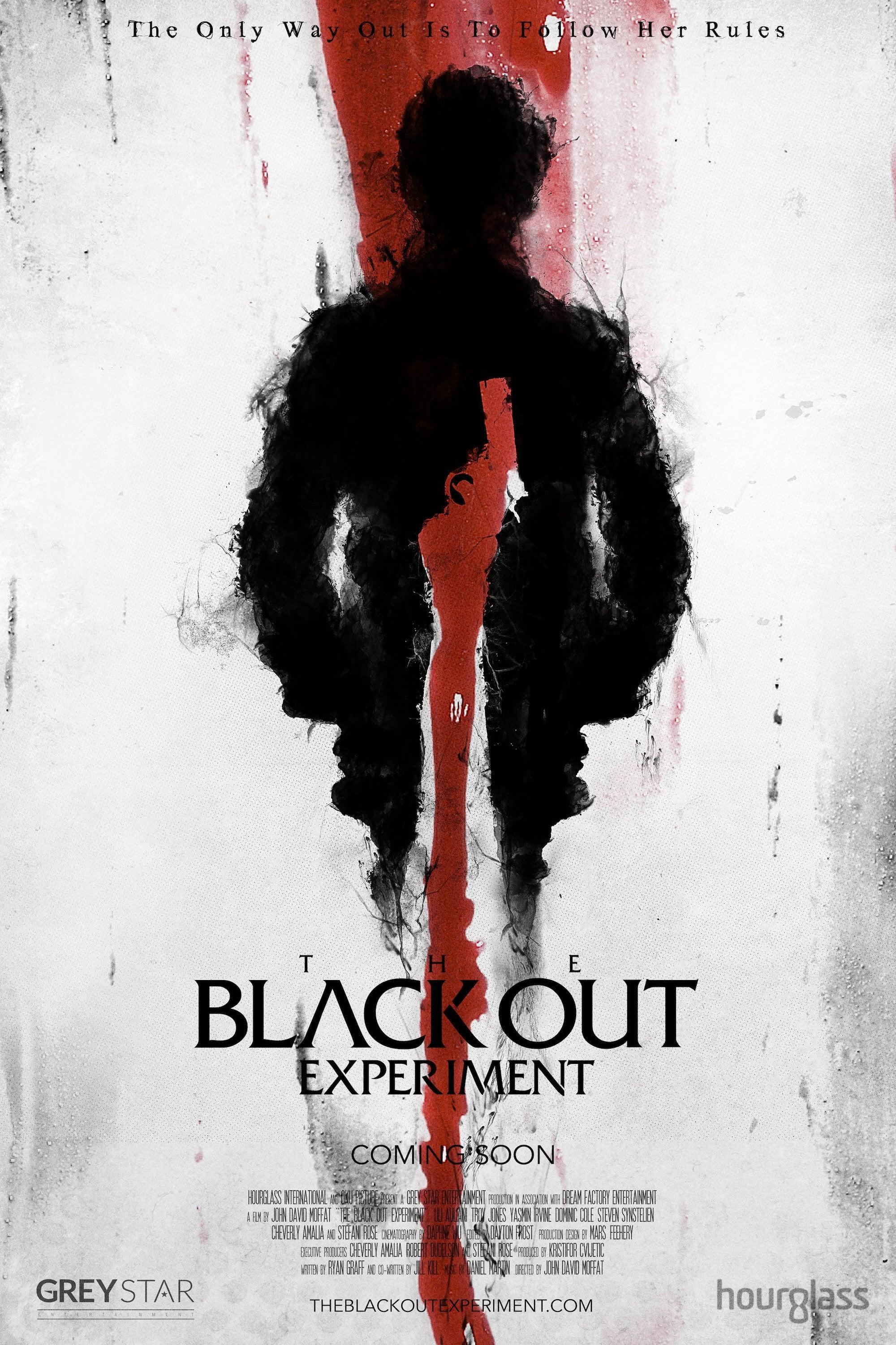 The Blackout Experiment poster