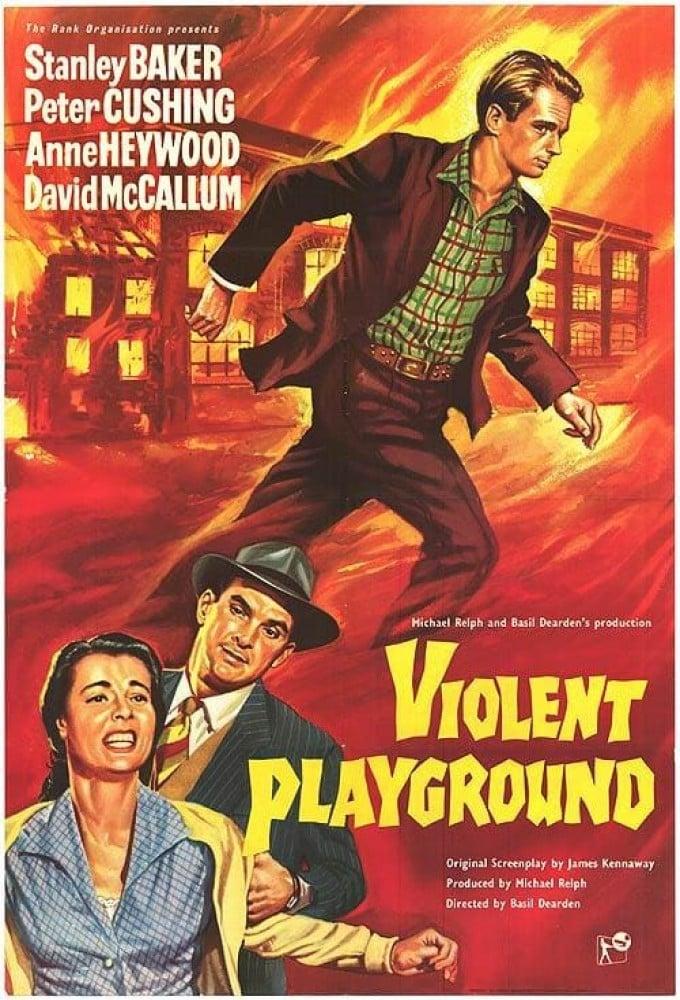 Violent Playground poster