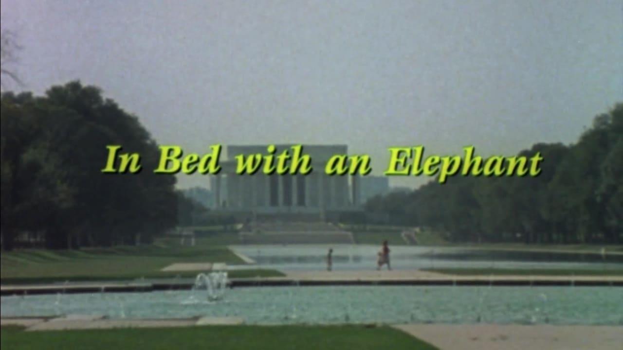 In Bed with an Elephant backdrop