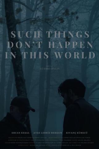 Such Things Don’t Happen in This World poster