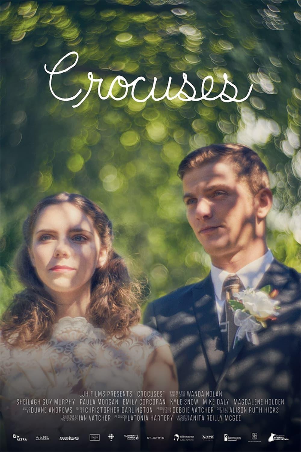 Crocuses poster