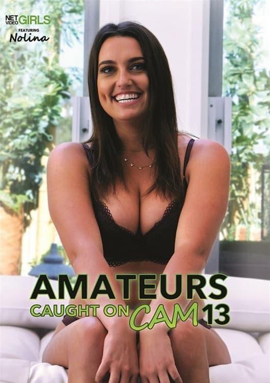Amateurs Caught on Cam 13 poster