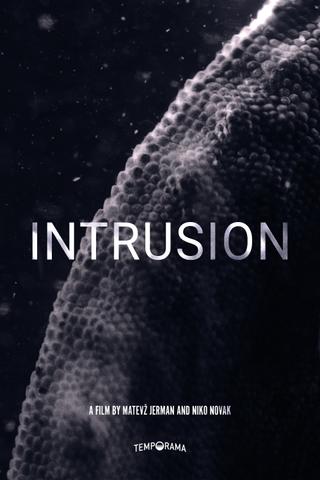 Intrusion poster