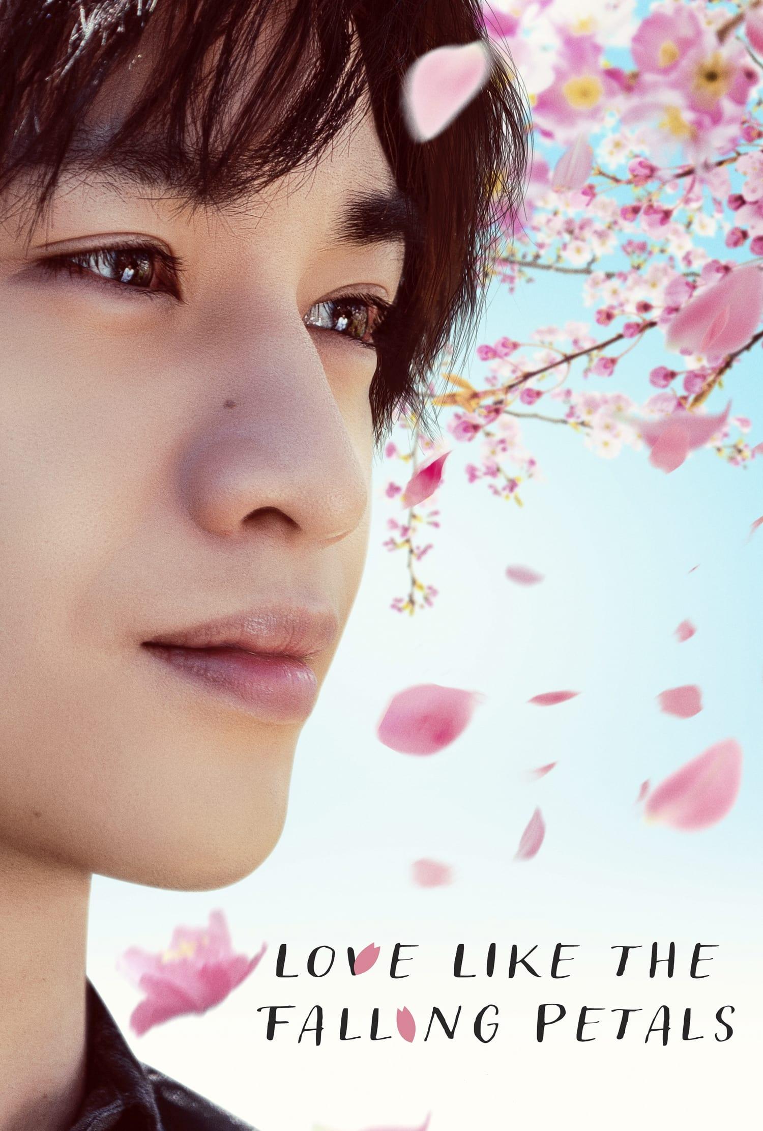 Love Like the Falling Petals poster