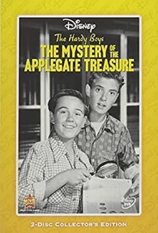 The Hardy Boys: The Mystery of the Applegate Treasure poster