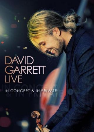 David Garrett LIVE - In Concert & In Private poster