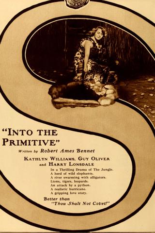 Into the Primitive poster