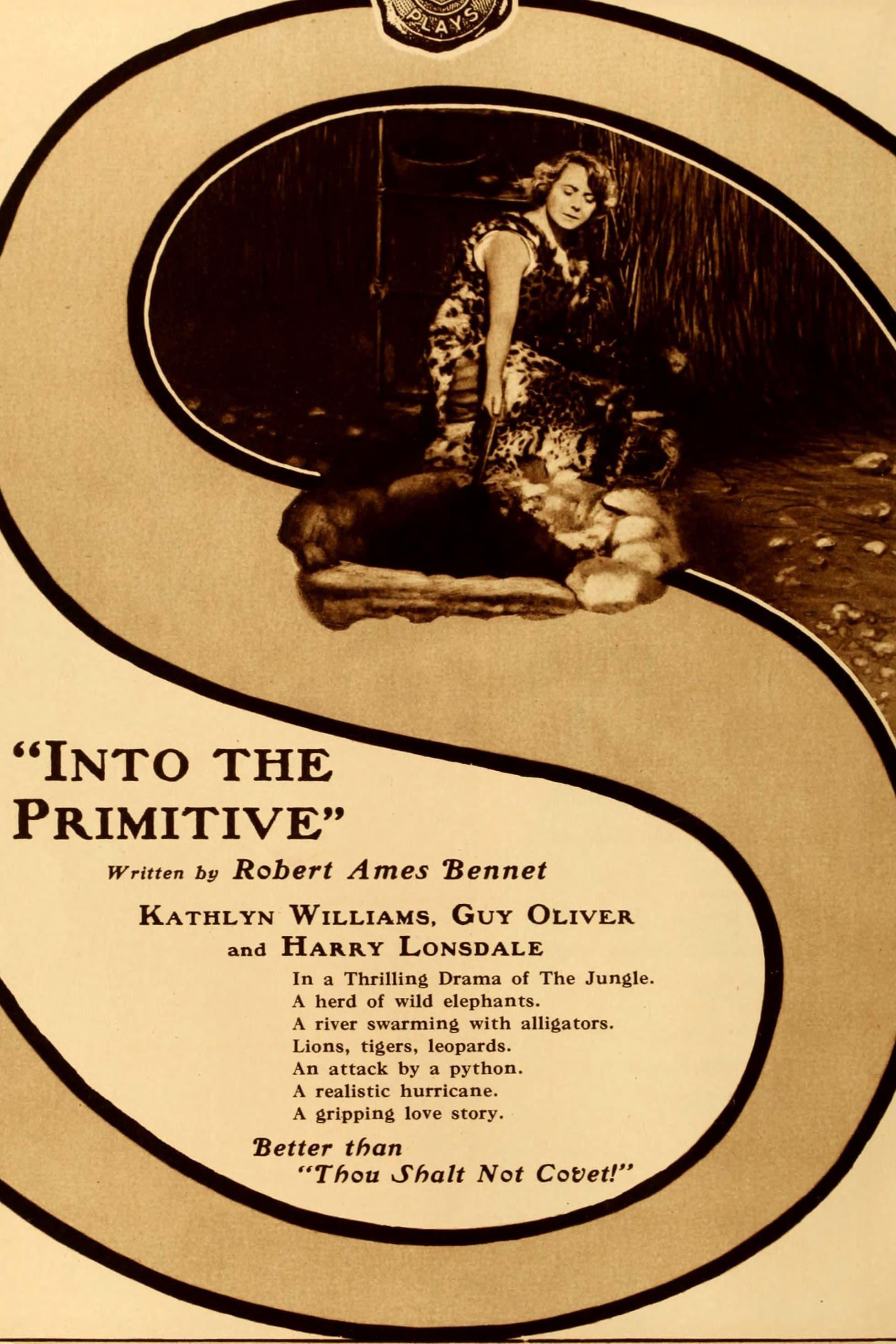 Into the Primitive poster