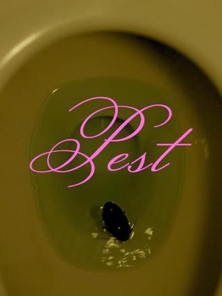 Pest poster