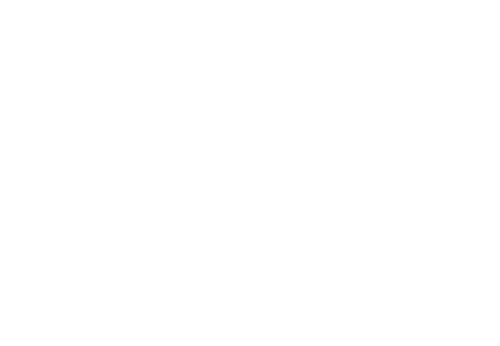The New Painted Skin logo