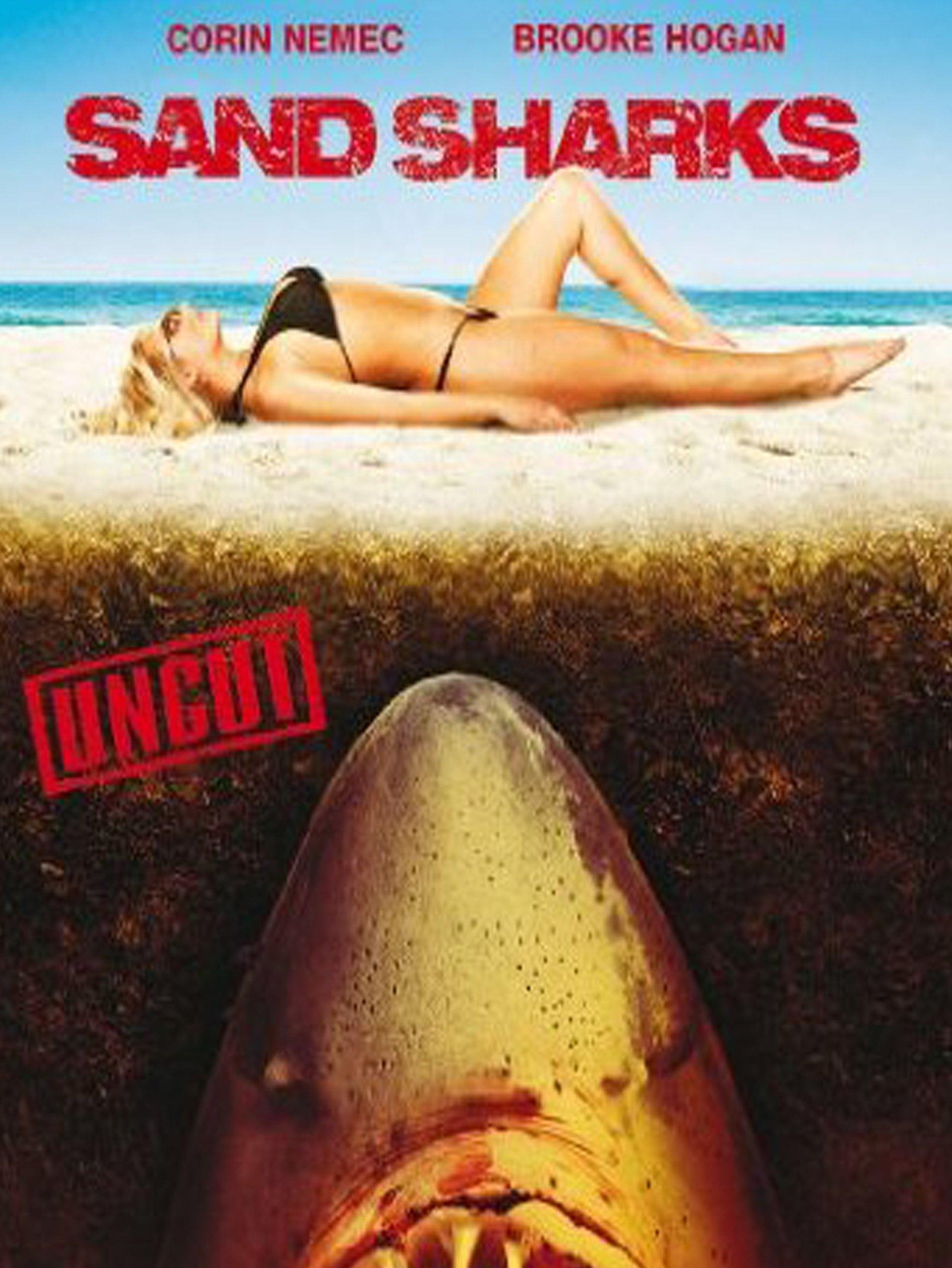 Sand Sharks poster