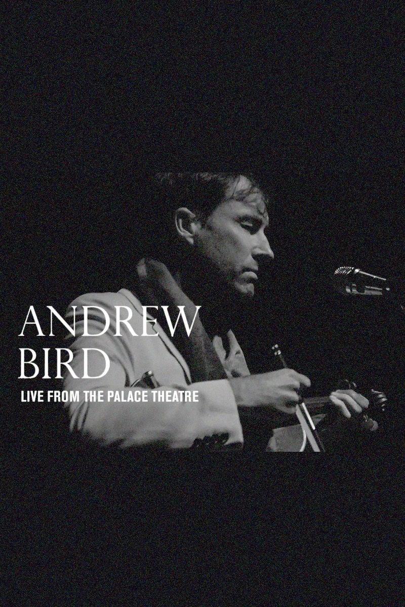 Andrew Bird: Live From The Palace Theatre poster