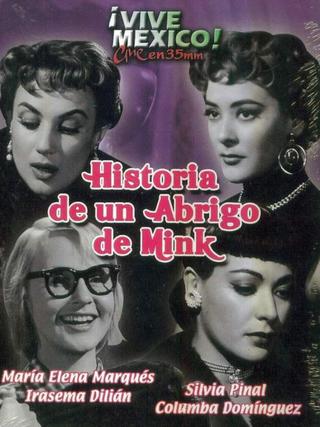 Historia de un abrigo de mink poster