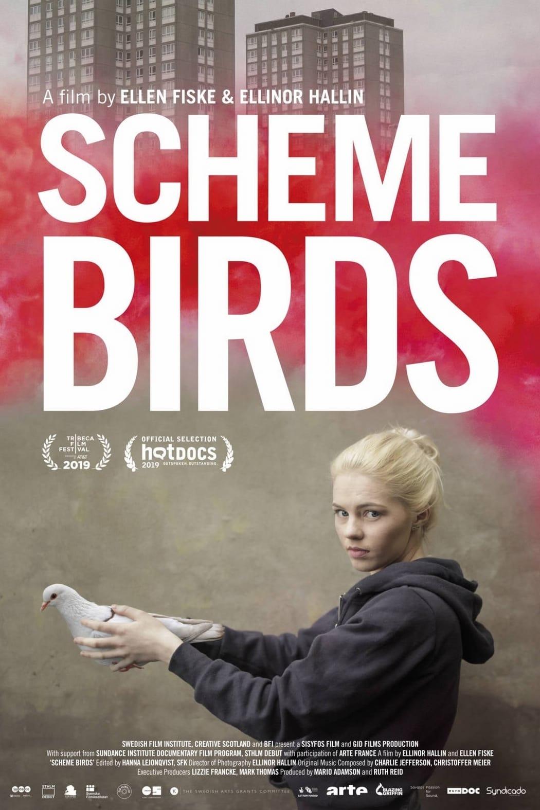 Scheme Birds poster