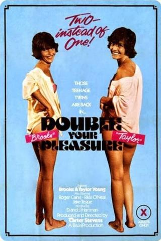 Double Your Pleasure poster