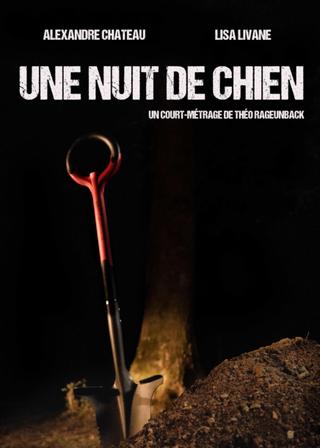 Une nuit de chien poster