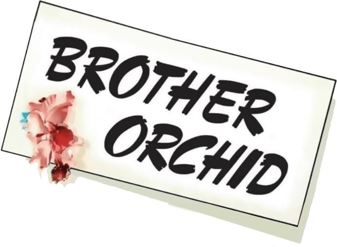 Brother Orchid logo