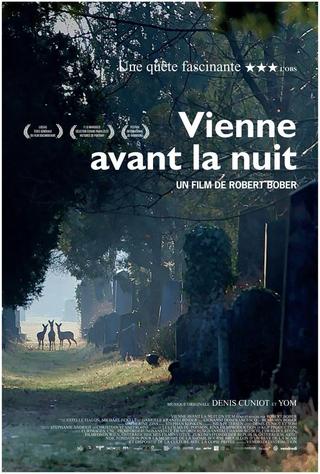 Vienne avant la nuit poster