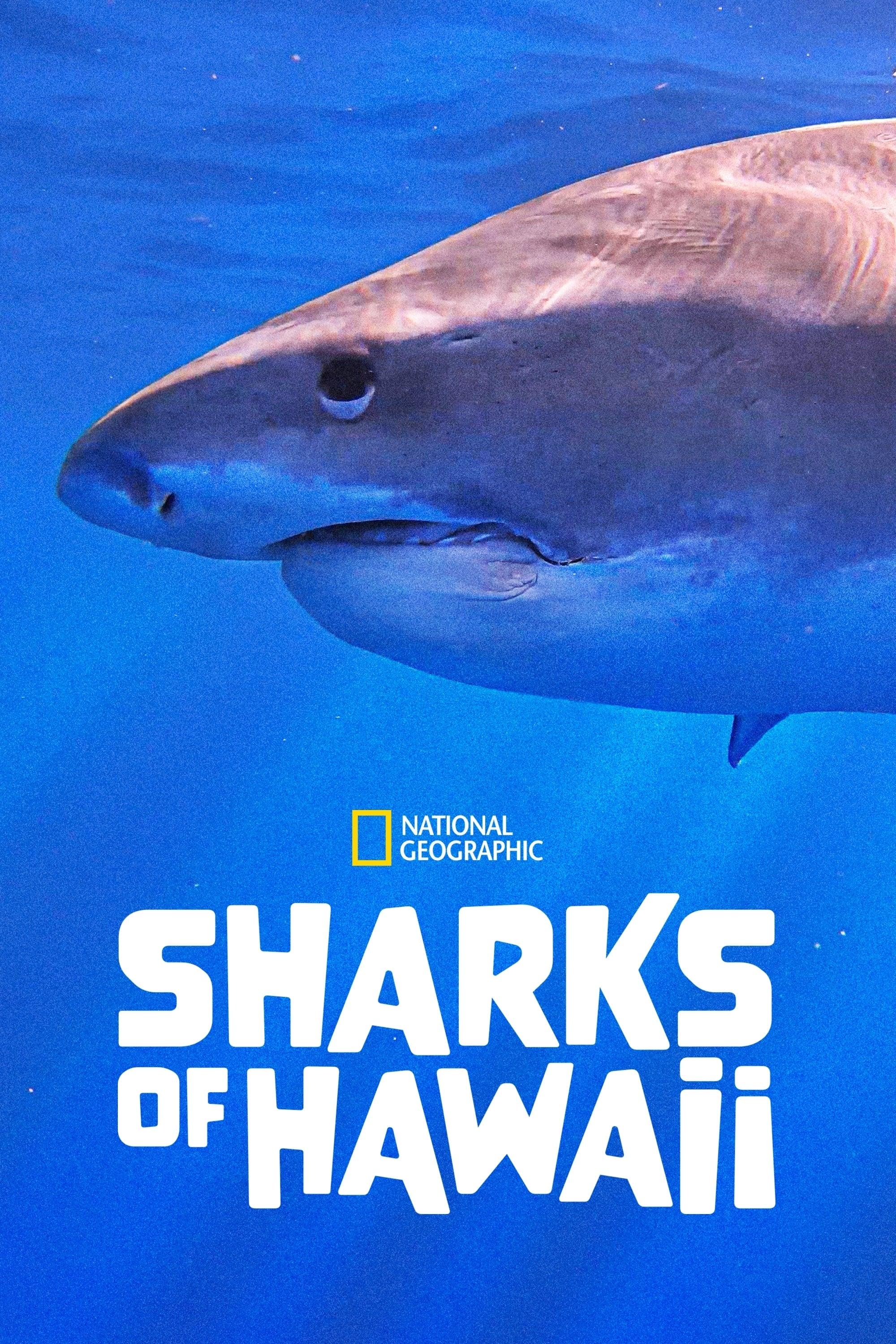 Sharks of Hawaii poster
