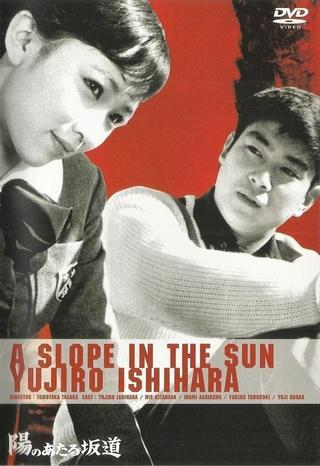 A Slope in the Sun poster