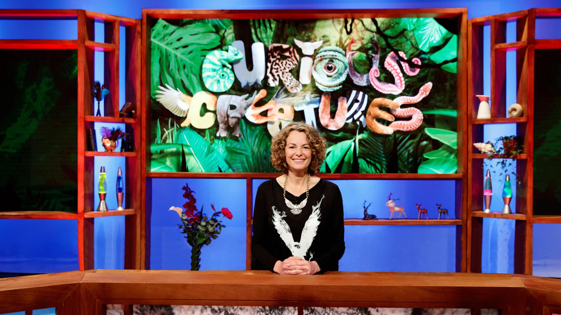 Curious Creatures backdrop