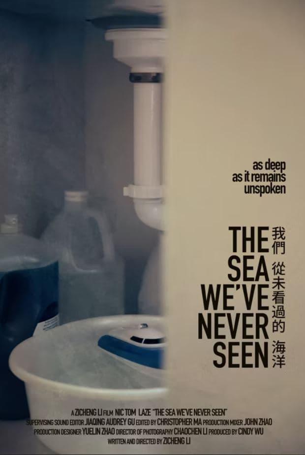 The Sea We've Never Seen poster