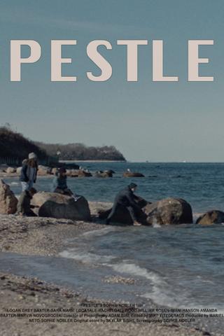 Pestle poster