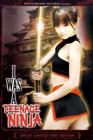I Was A Teenage Ninja poster