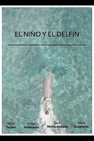 El niño y el delfín poster