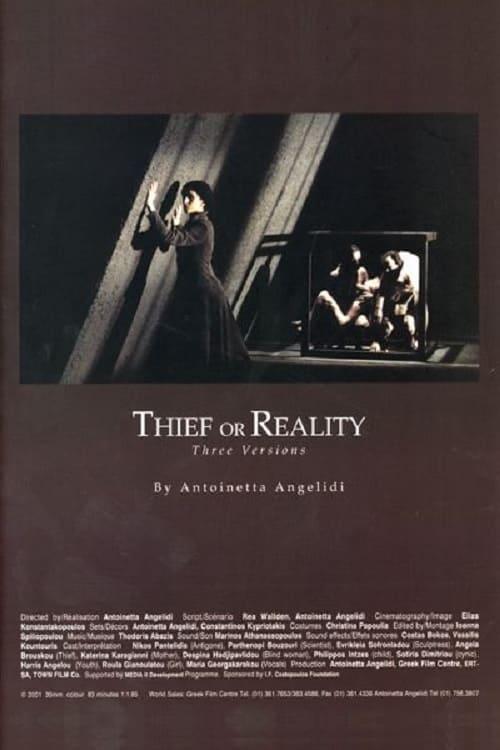 Thief or Reality poster