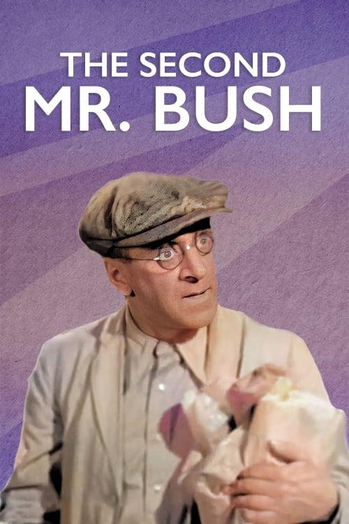 The Second Mr. Bush poster