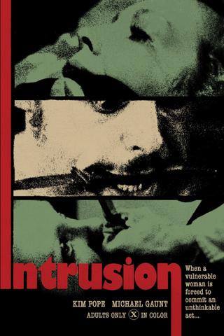 The Intrusion poster