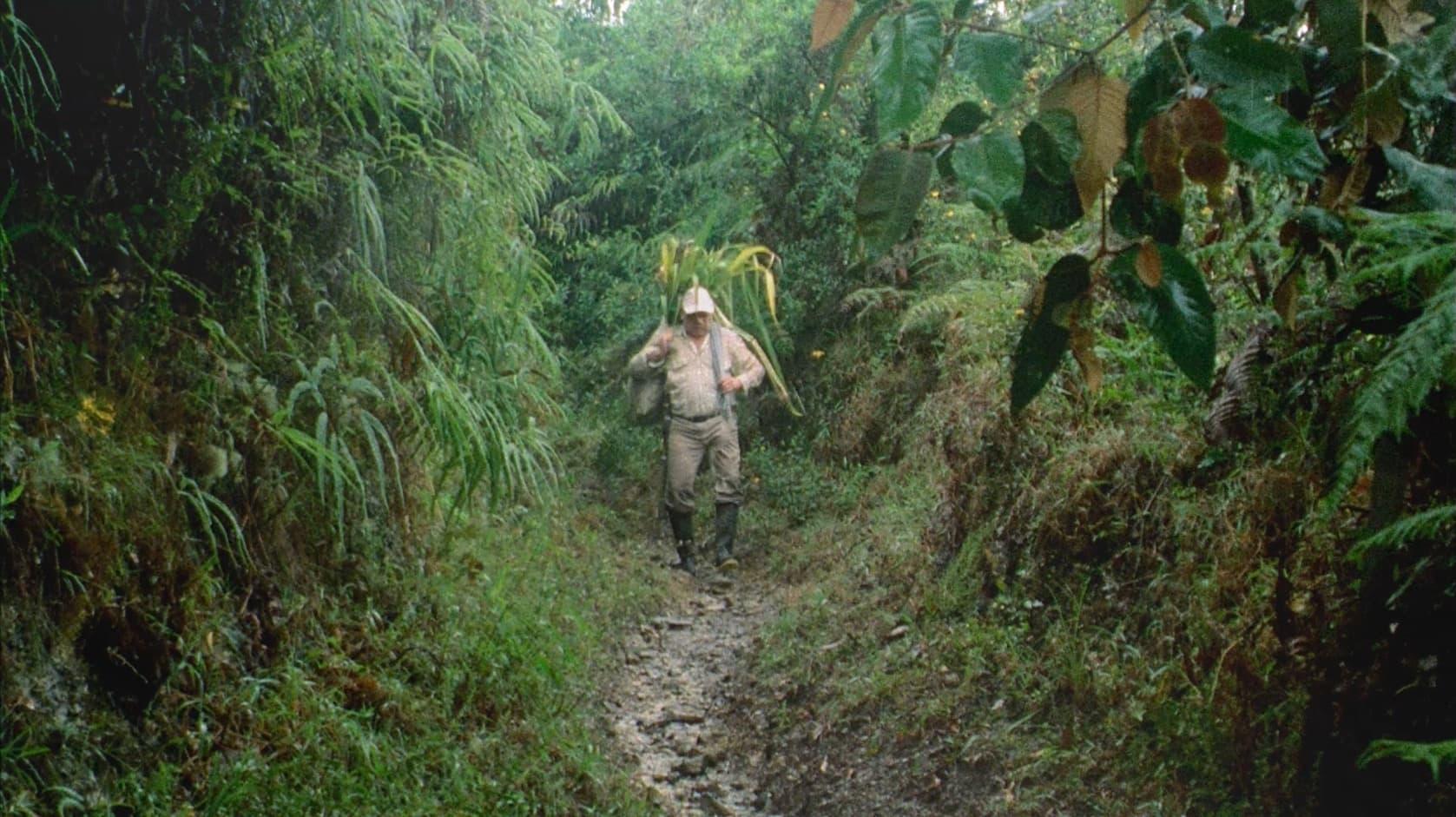 Raúl Gutiérrez backdrop