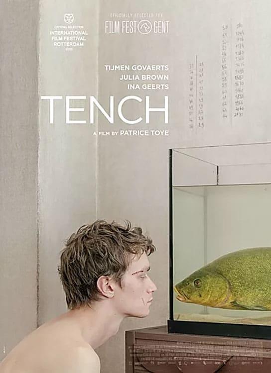 Tench poster