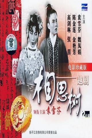 相思树 poster