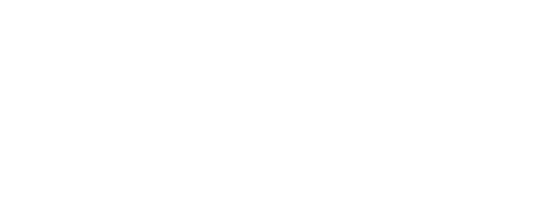 Back From the Brink logo