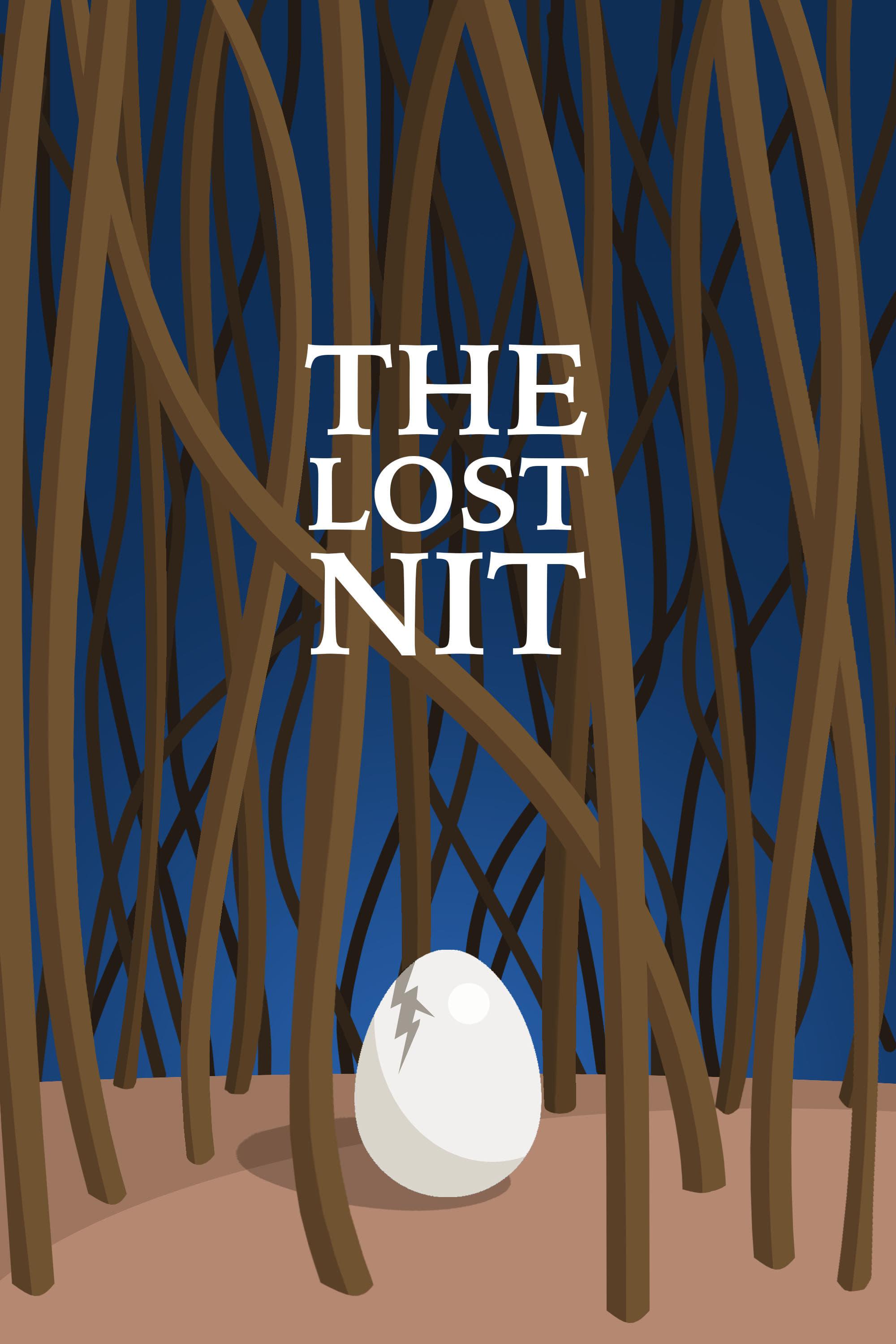 The Lost Nit poster