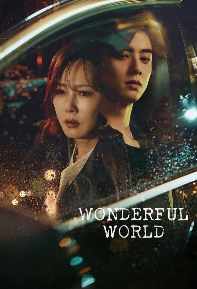 Wonderful World poster