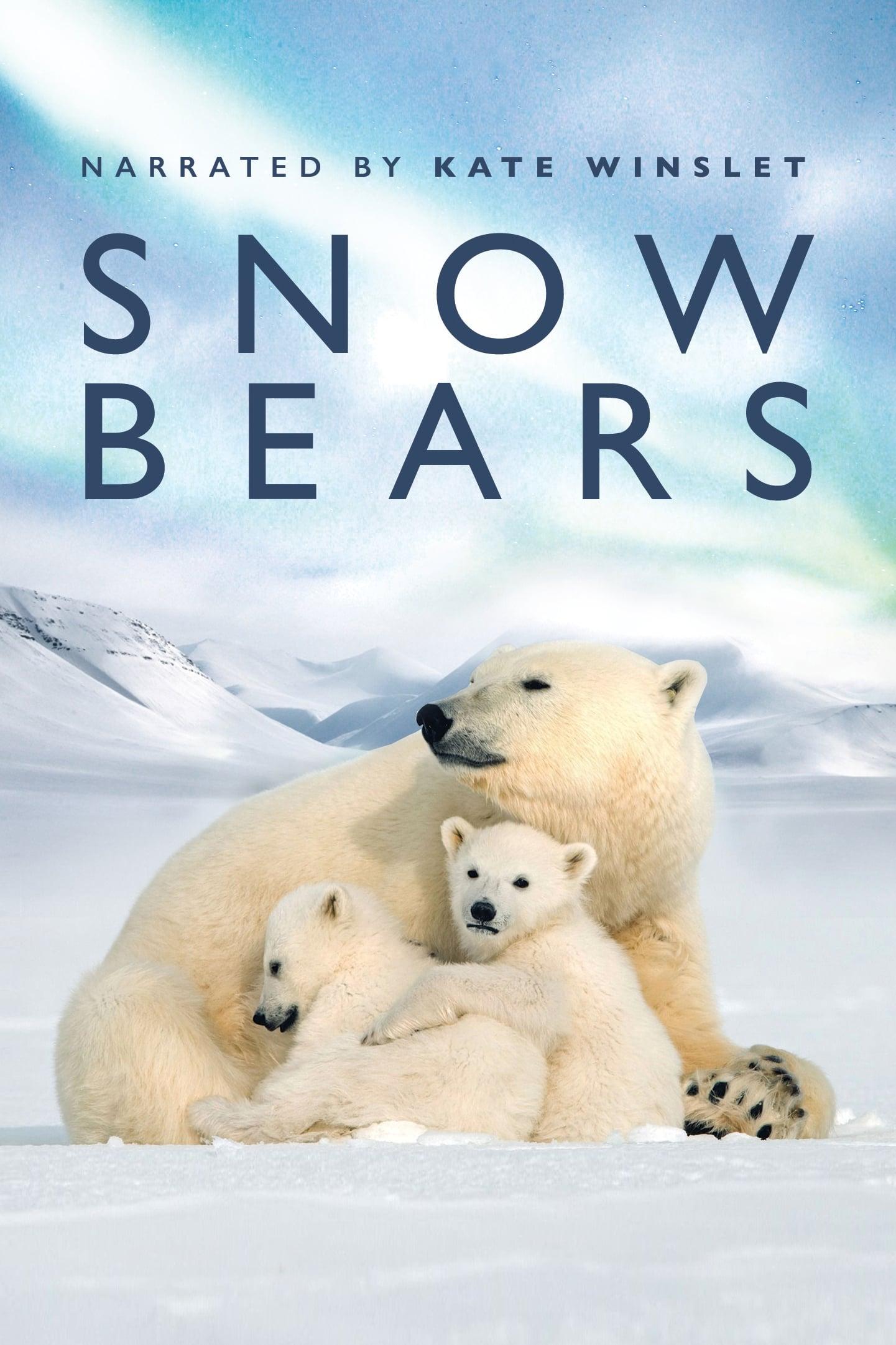 Snow Bears poster