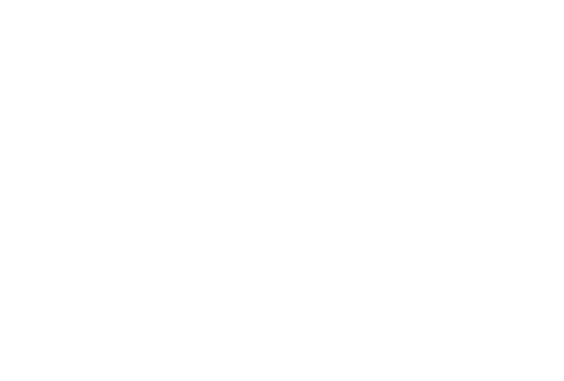 The Engagement Ring logo